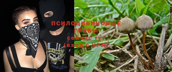 тгк Верхний Тагил