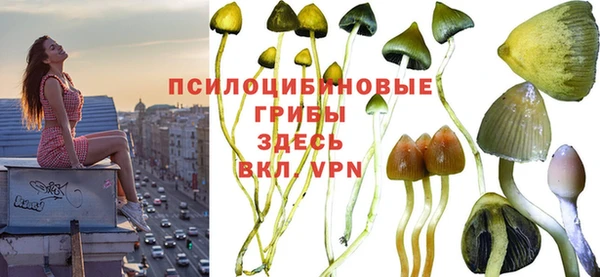 тгк Верхний Тагил